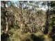 50A Longwood Street, Stirling SA 5152