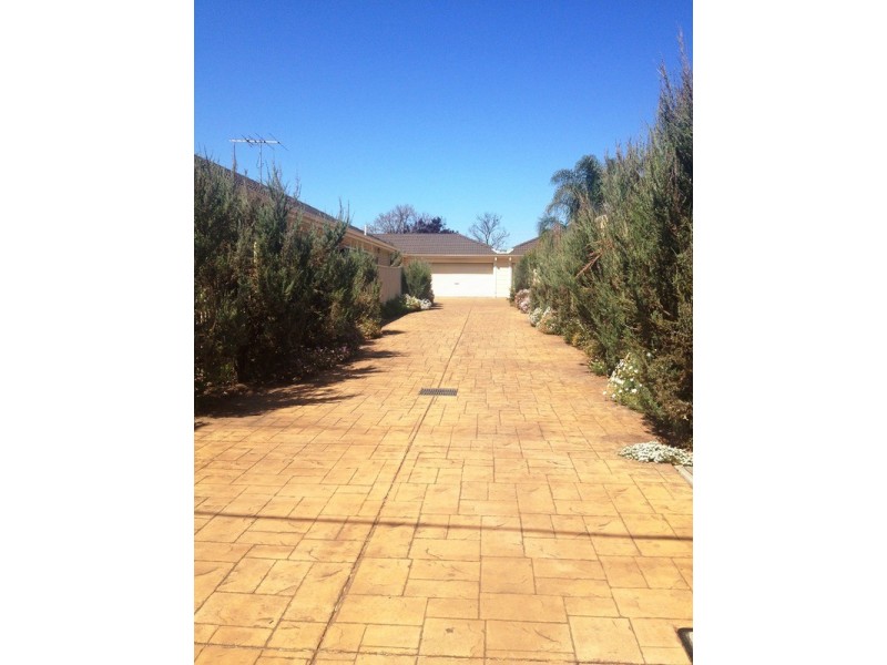 29B Wilton Avenue, Somerton Park SA 5044