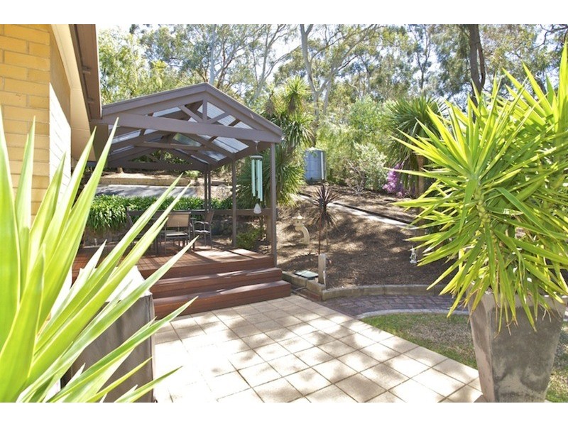 38 Jackson  Avenue, Coromandel Valley SA 5051