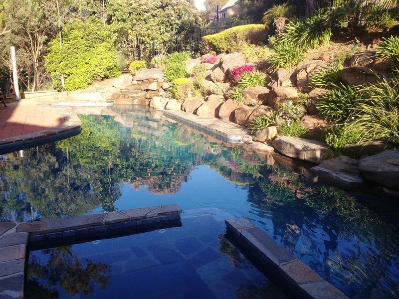 7 Bellbird Grove, Flagstaff Hill SA 5159