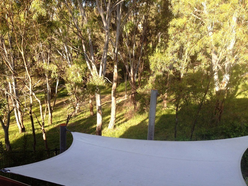 7 Bellbird Grove, Flagstaff Hill SA 5159