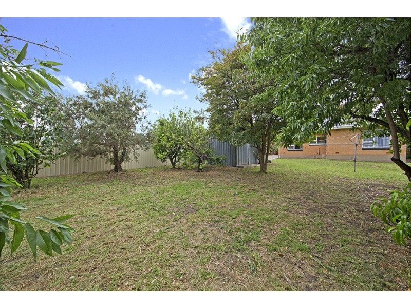 42 Burbank Avenue, Bedford Park SA 5042