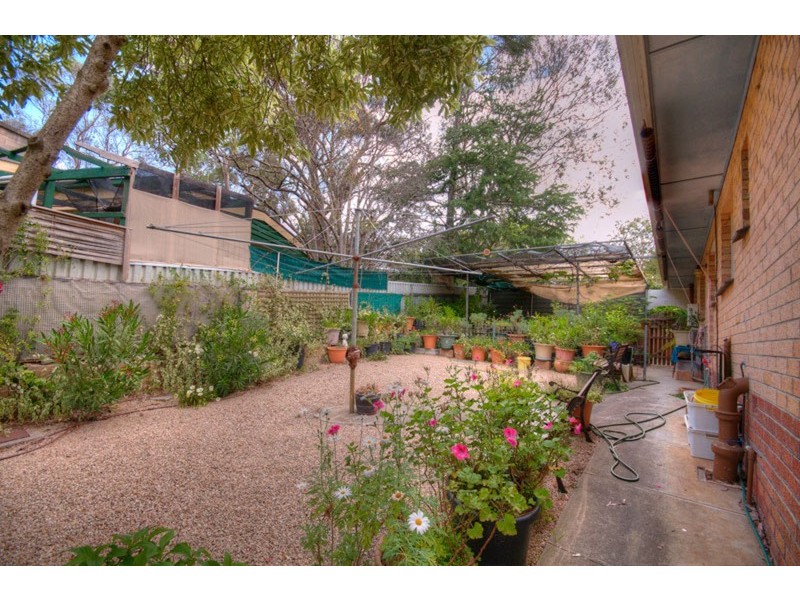 14 Margaret Avenue, Glenalta SA 5052