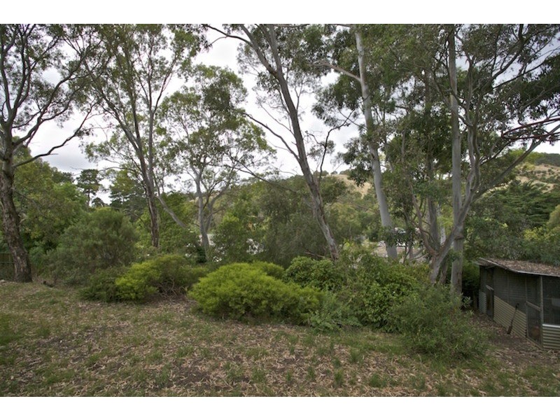 23 Hillsdale Avenue, Coromandel Valley SA 5051