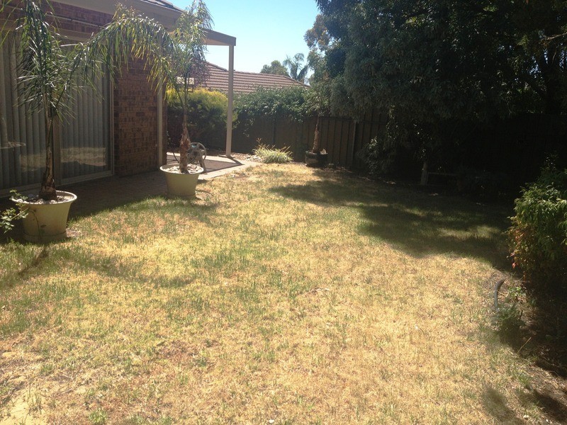 64 Glendale Avenue, Flagstaff Hill SA 5159