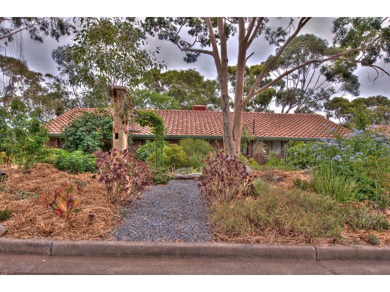 18 Barbara Crescent, Coromandel Valley SA 5051