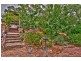 18 Barbara Crescent, Coromandel Valley SA 5051