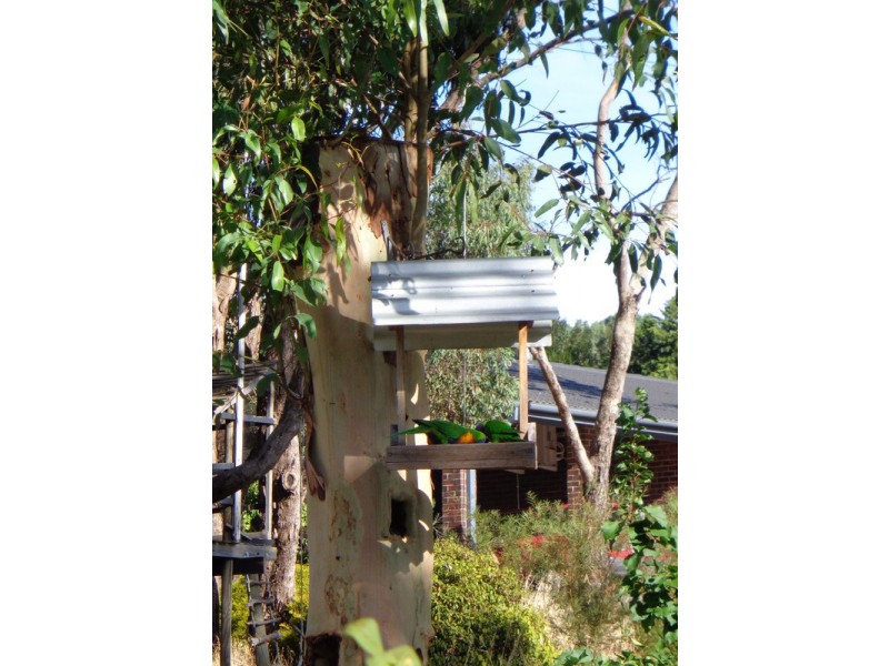 18 Barbara Crescent, Coromandel Valley SA 5051