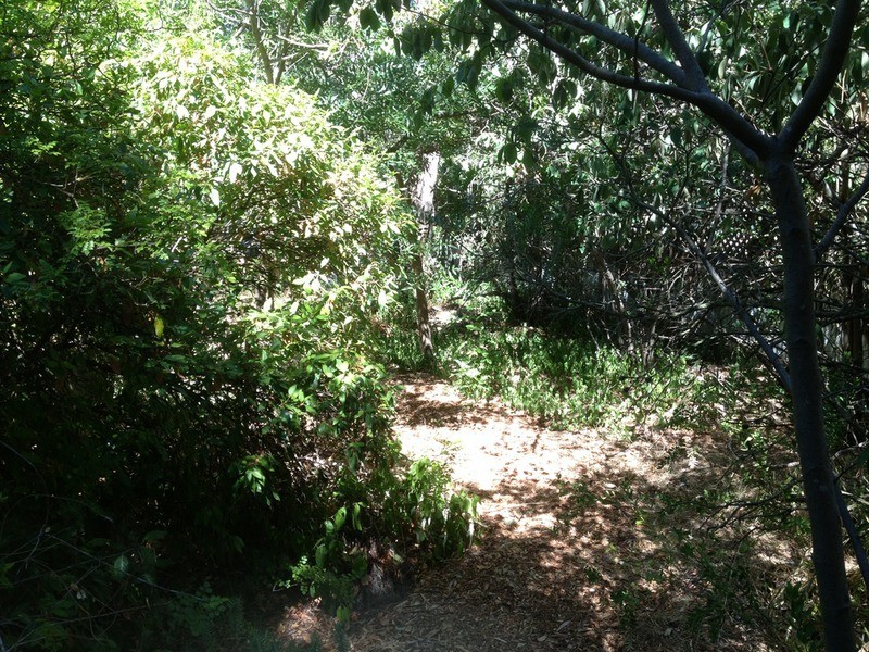 7 Parham Road, Eden Hills SA 5050