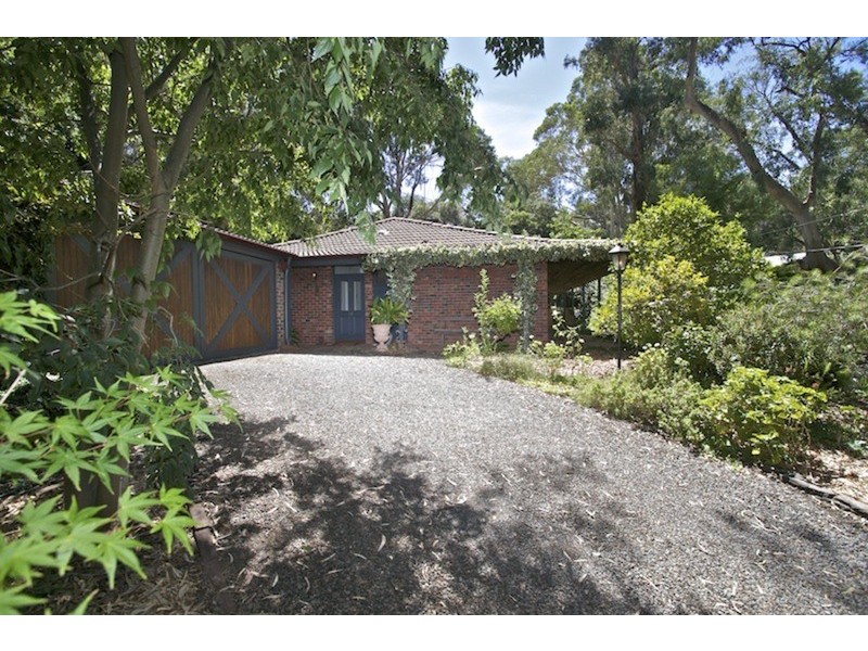 11 Redgum Drive, Belair SA 5052