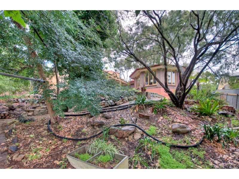 12 Coro Crescent, Coromandel Valley SA 5051