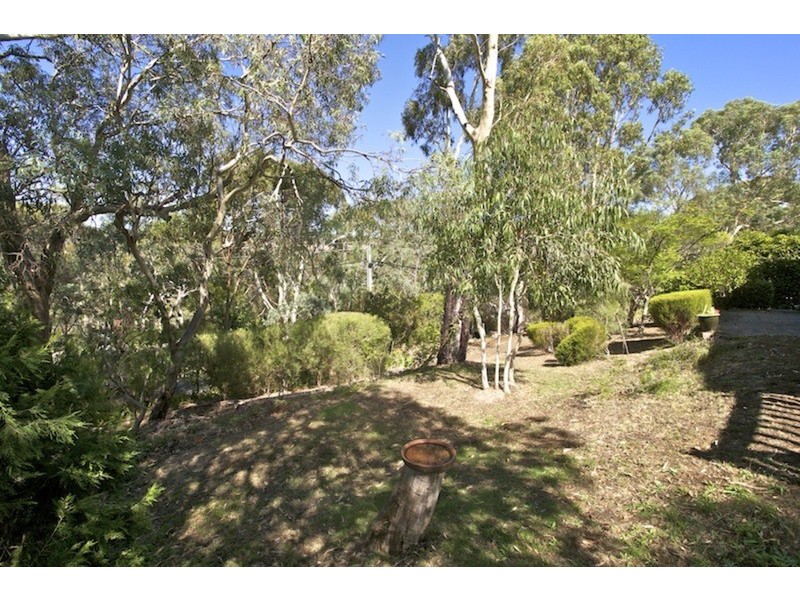 2A Ewers Avenue, Coromandel Valley SA 5051