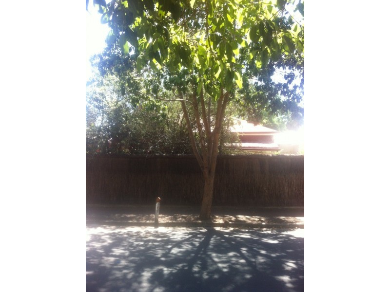 34 Hart Avenue, Unley SA 5061