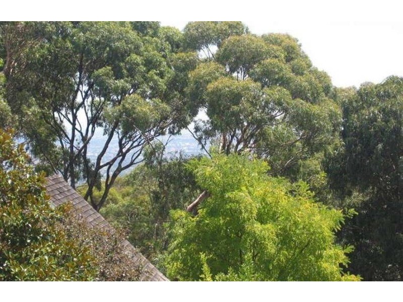 13 Caroline Avenue, Belair SA 5052