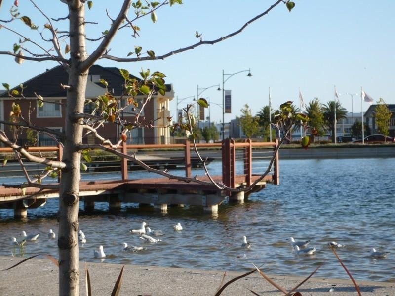 Lot 622 Metro Parade, Mawson Lakes SA 5095