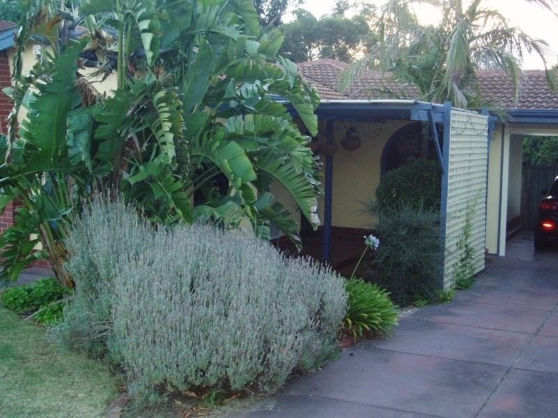 6 Pangari Drive, Fairview Park SA 5126