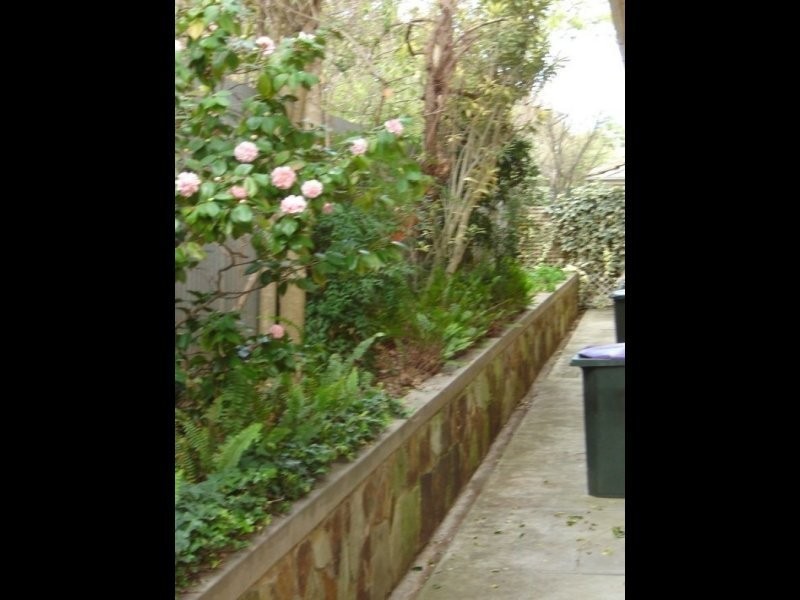 3/4 Collyer Court, Linden Park SA 5065