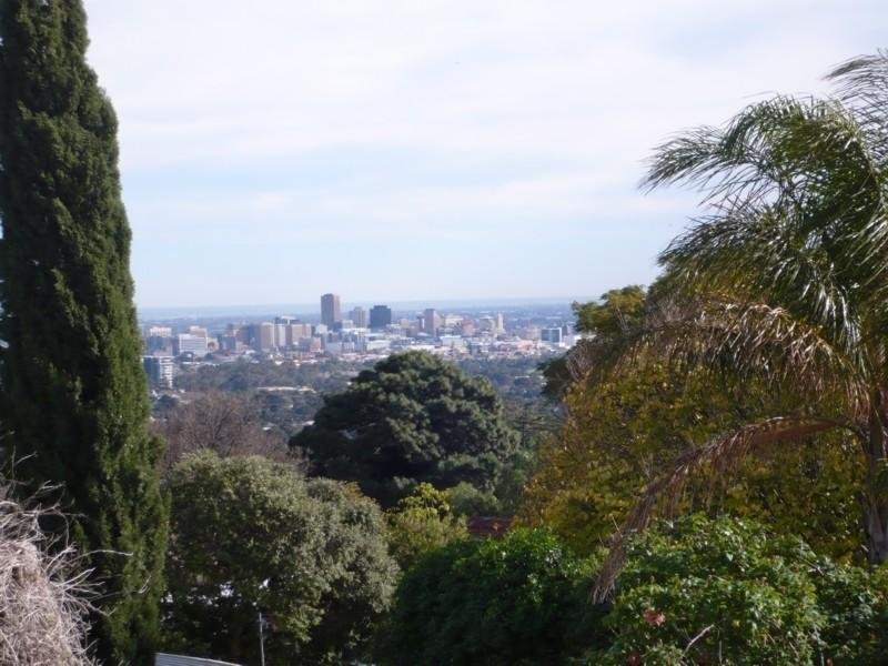 19 Sherwood Terrace, Beaumont SA 5066