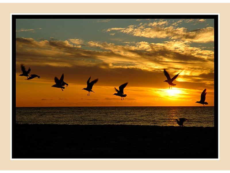 2a Jervois Street, Marino SA 5049