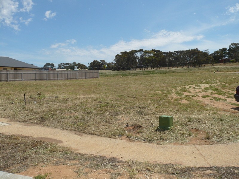 Lot 213 Willowbark Crescent, Murray Bridge SA 5253