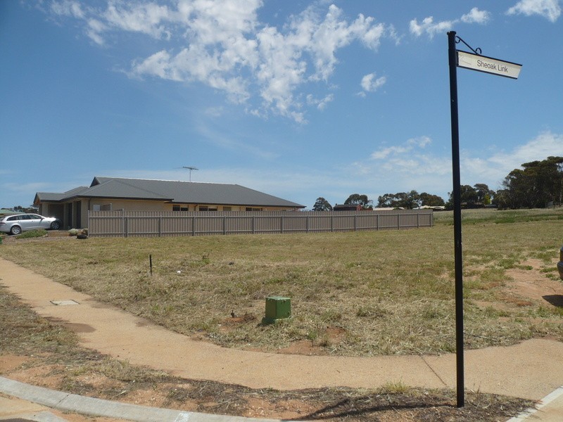 Lot 213 Willowbark Crescent, Murray Bridge SA 5253