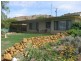 Lot 51 Purnong Road, Mannum SA 5238