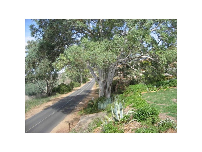 Lot 51 Purnong Road, Mannum SA 5238