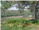 Lot 51 Purnong Road, Mannum SA 5238