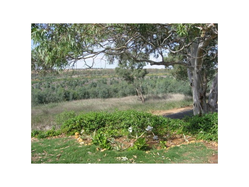 Lot 51 Purnong Road, Mannum SA 5238