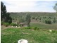 Lot 51 Purnong Road, Mannum SA 5238