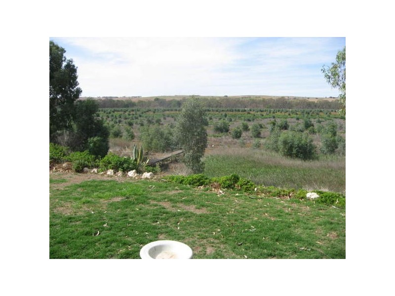 Lot 51 Purnong Road, Mannum SA 5238