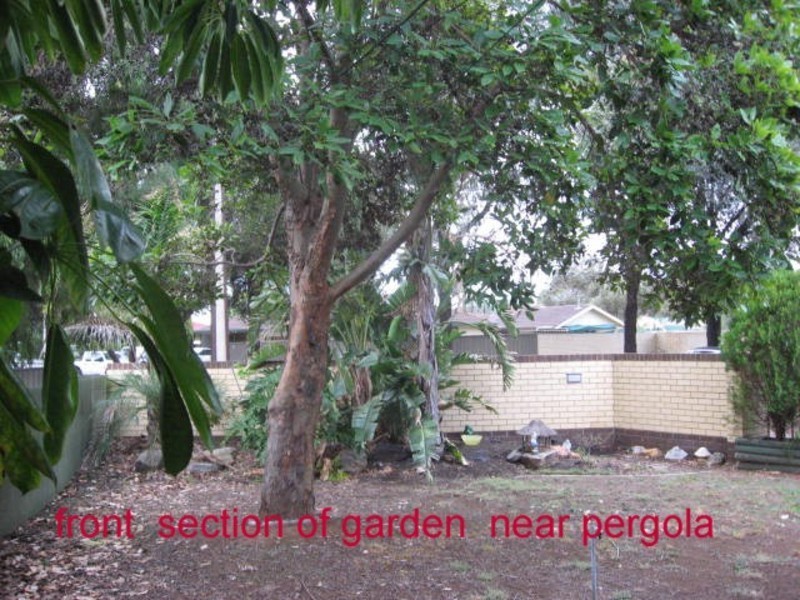 4 Quonndong Avenue, Parafield Gardens SA 5107