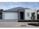 113 Shoalhaven Circuit, Mawson Lakes SA 5095