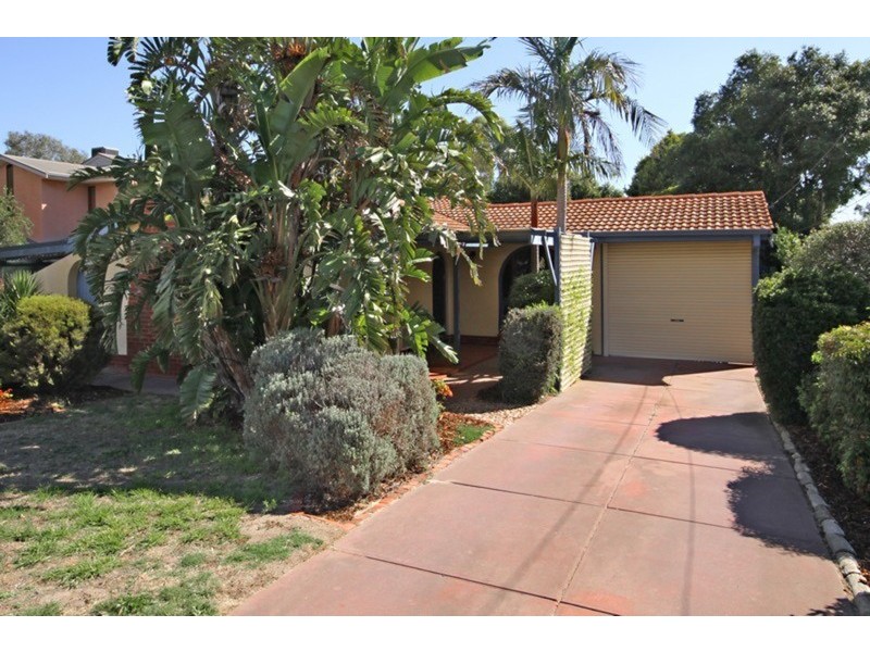 6 Pangari Drive, Fairview Park SA 5126