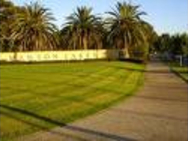 7/10-16 Light Common Street, Mawson Lakes SA 5095