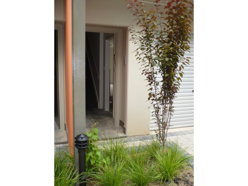 12/23-25 Metro Parade, Mawson Lakes SA 5095