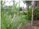 18 Tintara Road, Paralowie SA 5108