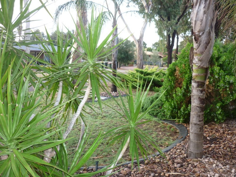 18 Tintara Road, Paralowie SA 5108