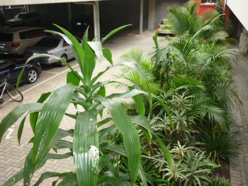 3/13-19 Hurtle Parade, Mawson Lakes SA 5095