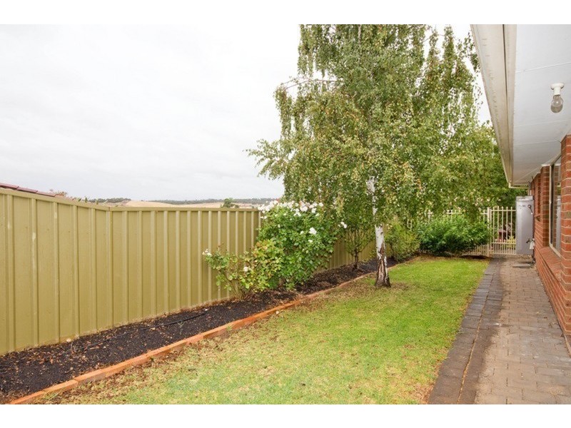 11 Treloar Avenue, Greenwith SA 5125