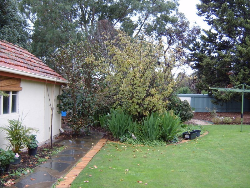 Glenelg East SA 5045