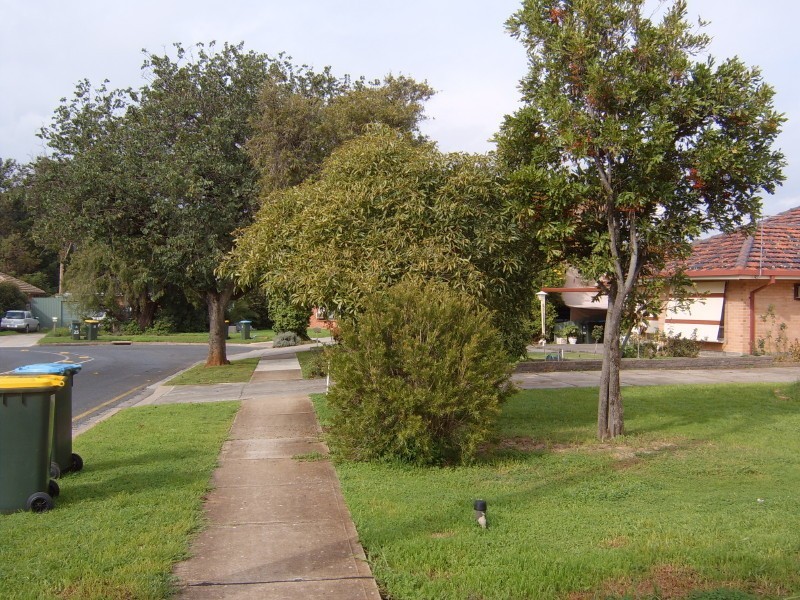 33 Bray Avenue, Klemzig SA 5087