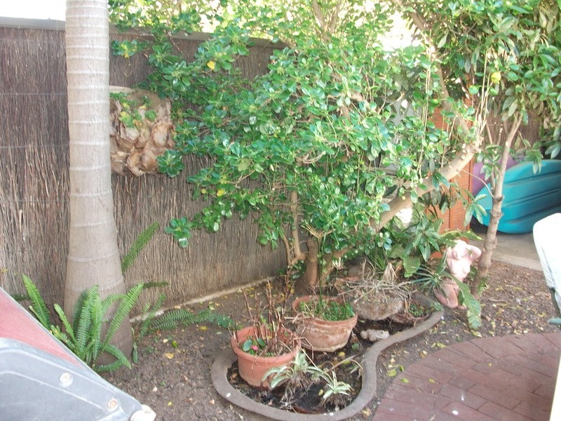 250 Sportsman Drive, West Lakes SA 5021