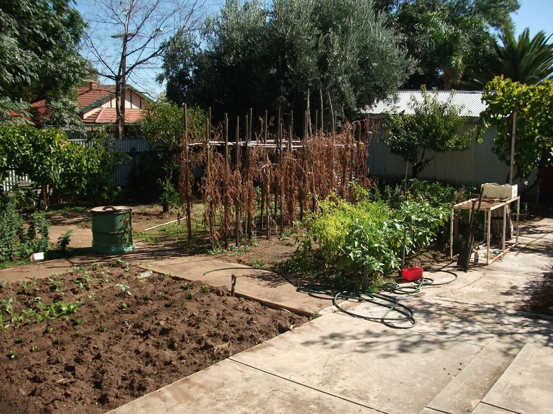 462 Regency Road, Prospect SA 5082