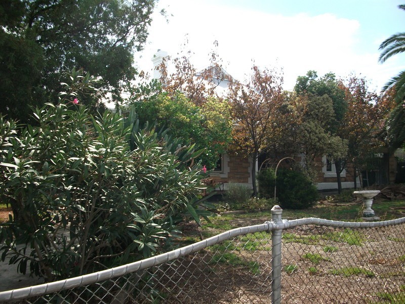 462 Regency Road, Prospect SA 5082