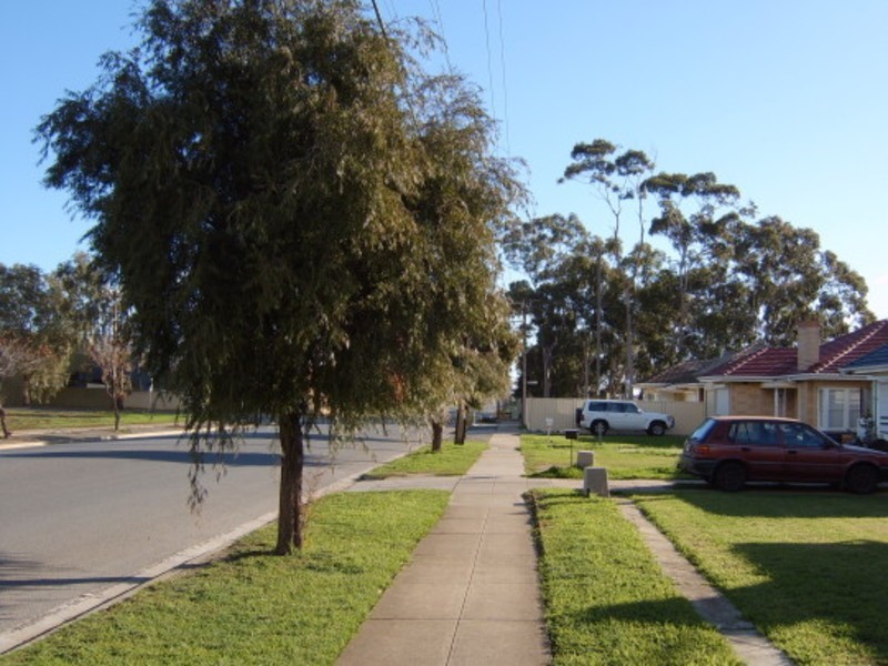 311 Richmond Road, West Richmond SA 5033