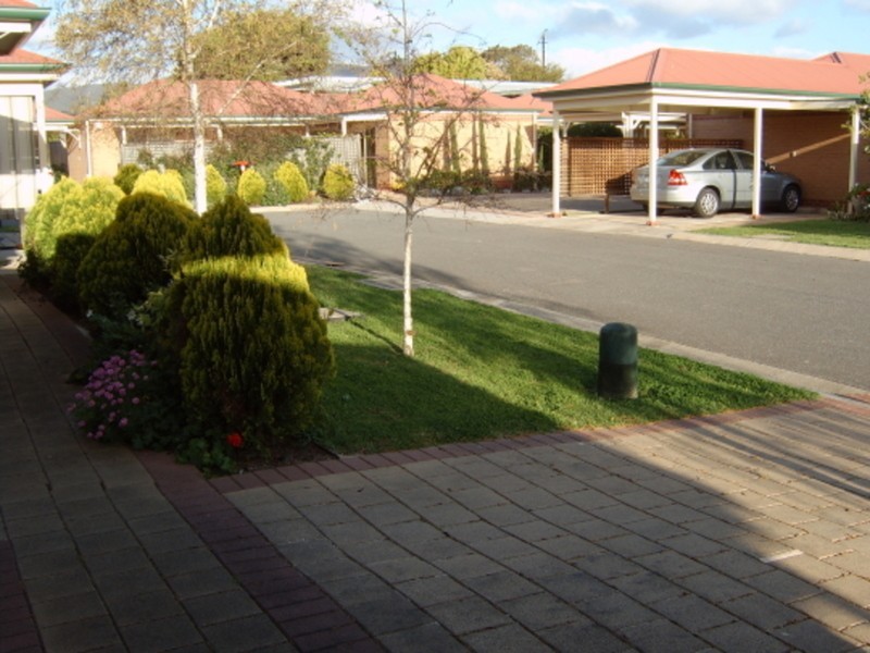 3/58 Avenue Road, Paradise SA 5075