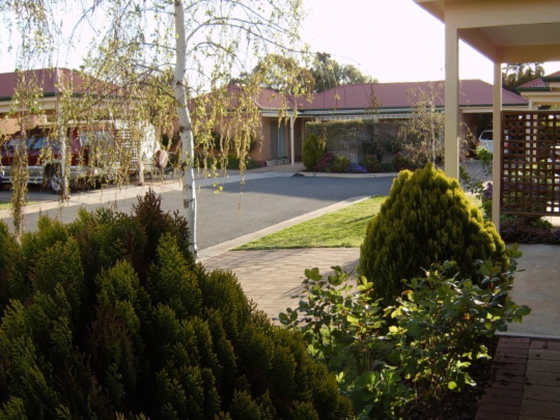 3/58 Avenue Road, Paradise SA 5075