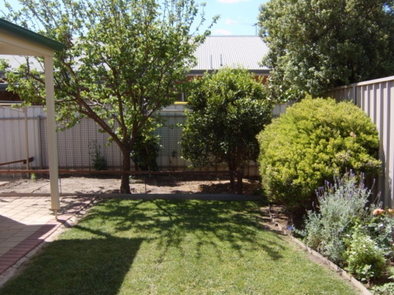 3/58 Avenue Road, Paradise SA 5075