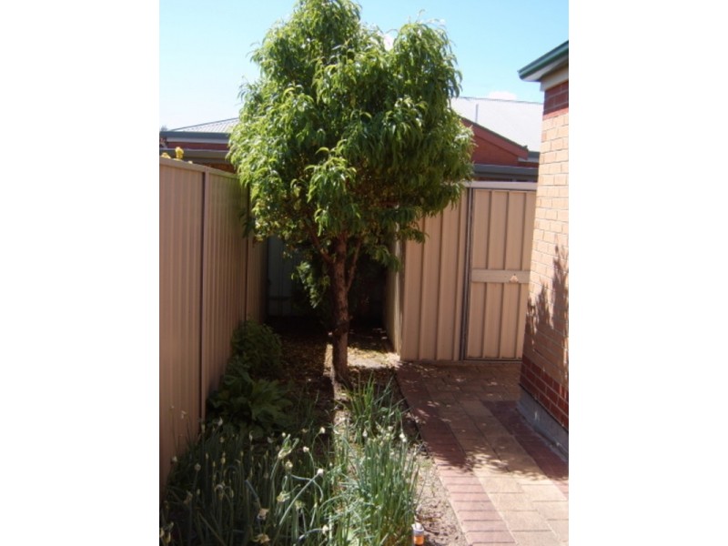 3/58 Avenue Road, Paradise SA 5075